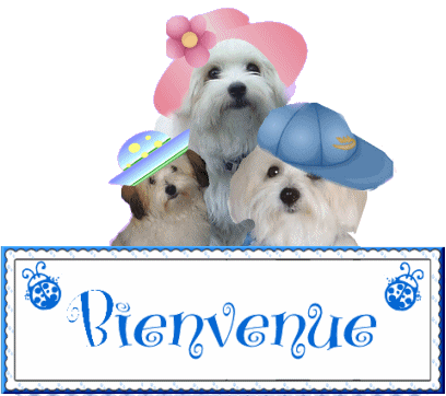 bienvenue2.gif